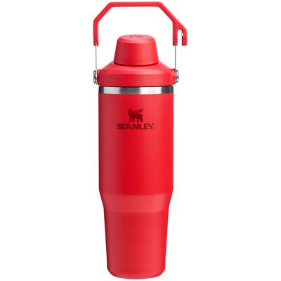 Stanley IceFlow 2.0 Fast Flow Tumbler with Handle 30 oz Twist On Angled Spout Stanley IceFlow 2.0 Fast Flow Tumbler with Handle 30 oz Twist On Angled Spout