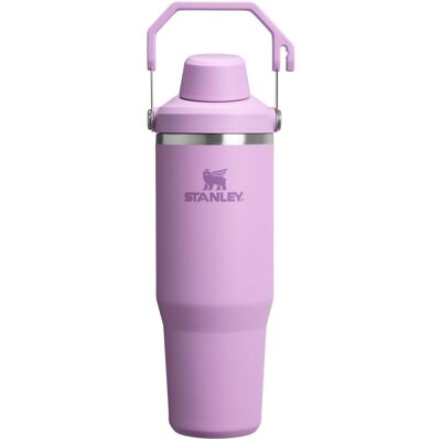 Stanley IceFlow 2.0 Fast Flow Tumbler with Handle 30 oz Twist On Angled Spout Stanley IceFlow 2.0 Fast Flow Tumbler with Handle 30 oz Twist On Angled Spout