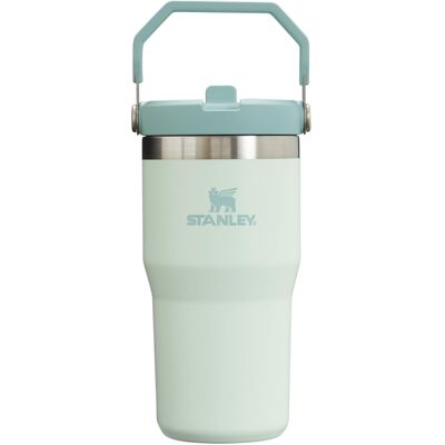 Stanley IceFlow Stainless Steel Tumbler - Vacuum Insulated Water Bottle for Home Stanley IceFlow Stainless Steel Tumbler - Vacuum Insulated Water Bottle for Home
