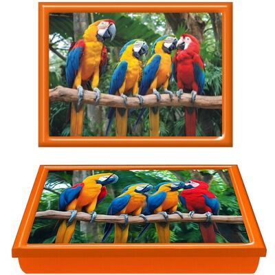 HOMION Parrots Lap Tray TV Dinner Bean Bag Base Cushioned Padded Serving Tray HOMION Parrots Lap Tray TV Dinner Bean Bag Base Cushioned Padded Serving Tray