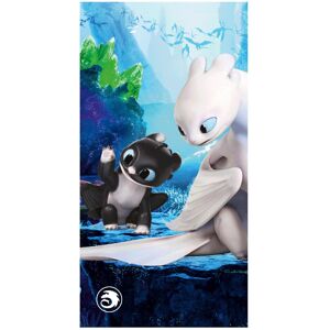 How To Train Your Dragon Beach Towel How To Train Your Dragon Beach Towel