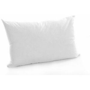 ARLINENS (12"x20") Rectangle/Oblong Hollow Fibre Plump Scatter Pillows Cushions -Double S ARLINENS (12"x20") Rectangle/Oblong Hollow Fibre Plump Scatter Pillows Cushions -Double S