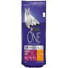 Purina ONE Urinary Care Dry Cat Food Chicken 800g pack of 1