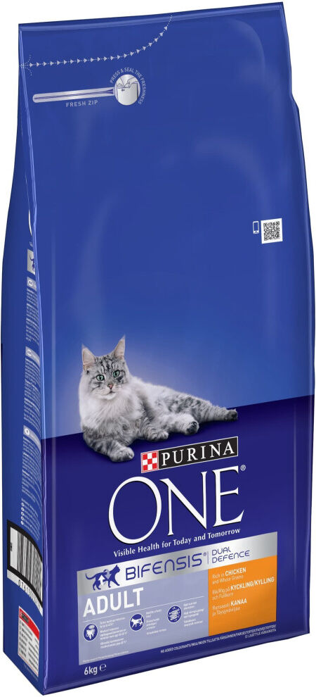 Purina ONE Bifensis Adult Dry Cat Food, Chicken and Whole Grains, 6kg