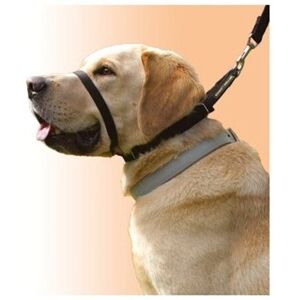The Canny Company (SIZE 4 (38-43 cm )) CANNY COLLAR BLACK The Canny Company (SIZE 4 (38-43 cm )) CANNY COLLAR BLACK