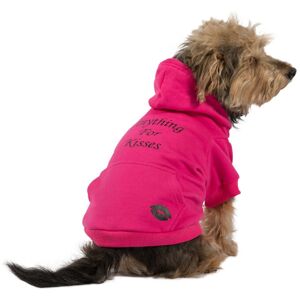 Ancol Pink Kisses Dog Hoodie Large - Dog Hoodie Ancol Pink Kisses Dog Hoodie Large - Dog Hoodie