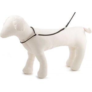 Ancol Heritage Nylon Show Lead - Black - 9mm, 1.38m - Show Lead Ancol Heritage Nylon Show Lead - Black - 9mm, 1.38m - Show Lead