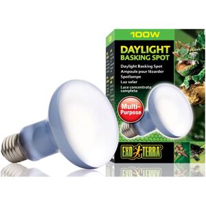 Hagen Exo Terra Daylight Basking Bulb R25 100w Hagen Exo Terra Daylight Basking Bulb R25 100w