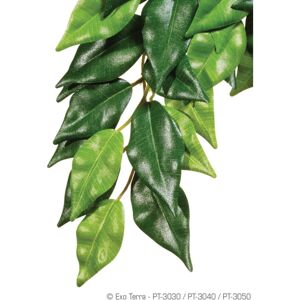 Hagen Exo Terra Silk Fiscus Plant Large Hagen Exo Terra Silk Fiscus Plant Large
