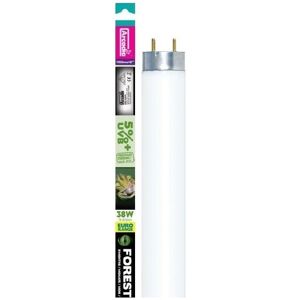 (38 Watt, 105cm (42")) Arcadia Euro-Range Forest 5% UV Tubes (38 Watt, 105cm (42")) Arcadia Euro-Range Forest 5% UV Tubes