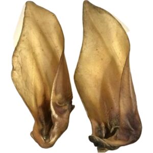 Express Pet Supplies (100) Buffalo Ears Extra Large XL with Meat 100% Natural Air Dried Dog Treat Che Express Pet Supplies (100) Buffalo Ears Extra Large XL with Meat 100% Natural Air Dried Dog Treat Che