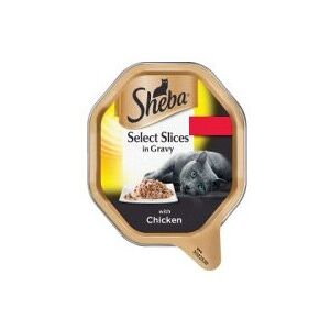 SHEBA Select Slices Cat Tray Chicken in Gravy 85g (22 x 85g) SHEBA Select Slices Cat Tray Chicken in Gravy 85g (22 x 85g)