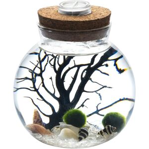 MornBee NewDreamWorld White Crystal LED Marimo Aquarium Kit Glass Bowl MornBee NewDreamWorld White Crystal LED Marimo Aquarium Kit Glass Bowl