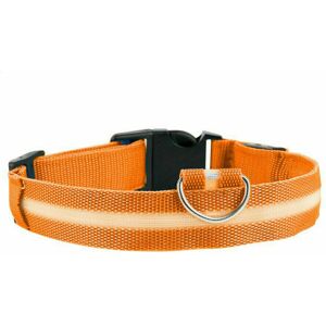 Unbranded (Orange, M) Battery Operated LED Flashing Luminous Safety Night Light Up Dog Pet Unbranded (Orange, M) Battery Operated LED Flashing Luminous Safety Night Light Up Dog Pet