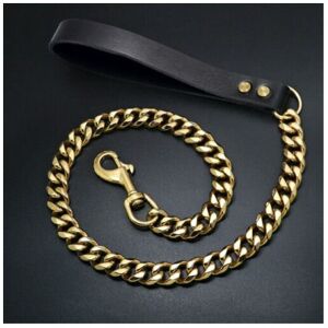 Unbranded (Golden Leash, 90cm Leash) Metal Dog Chain Leash Collar Lead Rope Collar Unbranded (Golden Leash, 90cm Leash) Metal Dog Chain Leash Collar Lead Rope Collar