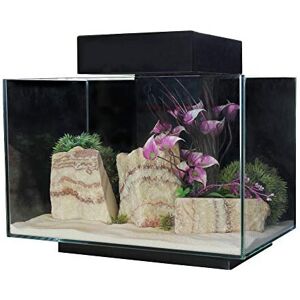 Aqua One PLATFORM 21 Aquarium Fish Tank 40cm 21L Aqua One PLATFORM 21 Aquarium Fish Tank 40cm 21L