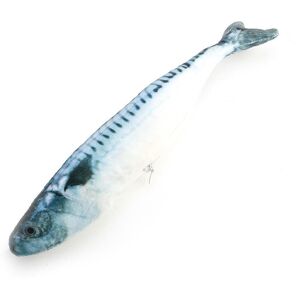 GreenZech (3) 30cm Large Size Interactive Pets Pillow Catnip Toys Simulation Plush Fish Sh GreenZech (3) 30cm Large Size Interactive Pets Pillow Catnip Toys Simulation Plush Fish Sh