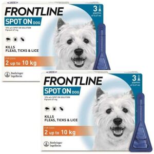 Frontline Spot On Small Dog Flea Lice Tick Treatment Kills Fleas Ticks Pack 6 Frontline Spot On Small Dog Flea Lice Tick Treatment Kills Fleas Ticks Pack 6