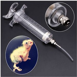Unbranded Parrot Chick Feeding Rearing Gavage Head Syringe Hose Birds Manual Feeding Syrin Unbranded Parrot Chick Feeding Rearing Gavage Head Syringe Hose Birds Manual Feeding Syrin