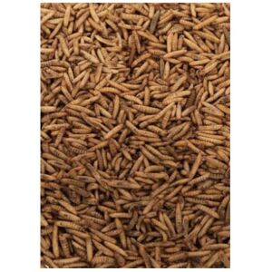 Maltbys' Stores 1904 Limited Dried Calciworms 5kg Premium Wild Bird & Hedgehog F Maltbys' Stores 1904 Limited Dried Calciworms 5kg Premium Wild Bird & Hedgehog F