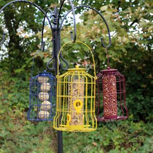 Actiaspet Wild Bird Feeder 3pcs Seed Nut Fat Ball Metal Hanging Squirrel Proof Actiaspet Wild Bird Feeder 3pcs Seed Nut Fat Ball Metal Hanging Squirrel Proof