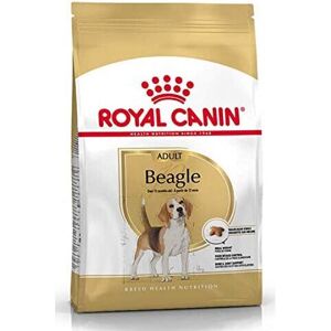 Royal Canin Breed Beagle Adult Dry - 12kg Royal Canin Breed Beagle Adult Dry - 12kg