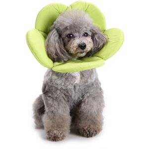 GreenZech (M) Flower Shape Dog Cat Collar Pet Elizabeth Circle Wound Healing Medical Anti- GreenZech (M) Flower Shape Dog Cat Collar Pet Elizabeth Circle Wound Healing Medical Anti-