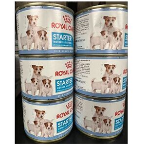 ROYAL CANIN Starter Mousse, Mother & Babydog Dog Food Cans 6 X 195g and Little G ROYAL CANIN Starter Mousse, Mother & Babydog Dog Food Cans 6 X 195g and Little G