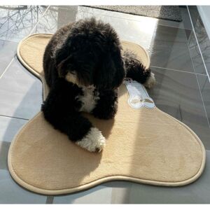Pet Nights (Large, Beige) Bone Shaped Pet Feeding Mat NonSlip Dog Cat Bed Pet Nights (Large, Beige) Bone Shaped Pet Feeding Mat NonSlip Dog Cat Bed