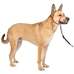 PetSafe PetSafe Gentle Leader Headcollar - No-Pull Dog Collar - Dog Type PetSafe PetSafe Gentle Leader Headcollar - No-Pull Dog Collar - Dog Type