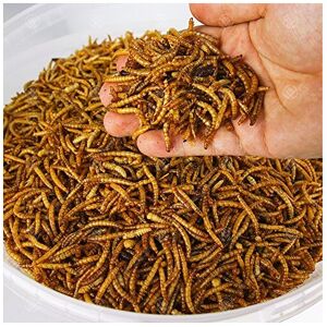 5KG WILD BIRD DRIED MEALWORMS 5KG WILD BIRD DRIED MEALWORMS