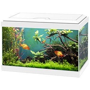 Ciano Aqua 20 Classic Aquarium Fish Tank - White Ciano Aqua 20 Classic Aquarium Fish Tank - White