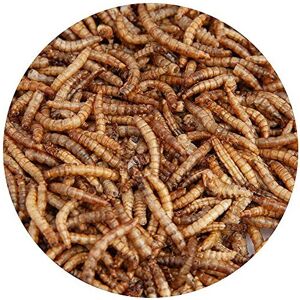 Unbranded Walter's Meal Worms (5L) - Dried Mealworms for Birds, Fill Your Garden with Bird Unbranded Walter's Meal Worms (5L) - Dried Mealworms for Birds, Fill Your Garden with Bird