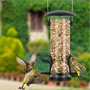 DENNY INT LTD (Metal Seed Feeder) Wild Bird Hanging Seed Feeder Peanut Nut Feed Fat Ball Feede DENNY INT LTD (Metal Seed Feeder) Wild Bird Hanging Seed Feeder Peanut Nut Feed Fat Ball Feede