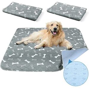 BAODAN Reusable Dog Training Pads 2 Pack Washable Puppy Pads Super Absorbent Waterproof BAODAN Reusable Dog Training Pads 2 Pack Washable Puppy Pads Super Absorbent Waterproof
