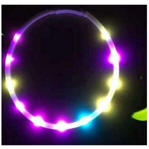 Ranpo (Multicoloured) 8 Colours RGB LED Flash Pet Dog Collars Light Anti Lost USB Rech Ranpo (Multicoloured) 8 Colours RGB LED Flash Pet Dog Collars Light Anti Lost USB Rech