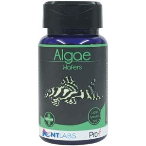 NT Labs Pro-f Algae Wafers 110g NT Labs Pro-f Algae Wafers 110g