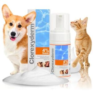 ICF Clorexyderm 4% Foam Mousse - Dry Shampoo for Dogs & Cats - Antibacterial & Antif ICF Clorexyderm 4% Foam Mousse - Dry Shampoo for Dogs & Cats - Antibacterial & Antif