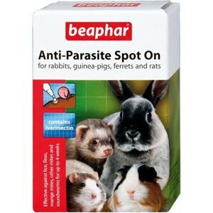 Unbranded Treatment For Rabbit, Guinea Pigs, Ferrets And Rats High Quality Unbranded Treatment For Rabbit, Guinea Pigs, Ferrets And Rats High Quality