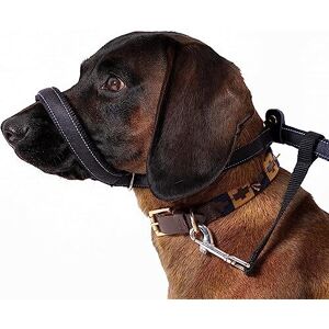 Total Pet Figure of 8 Dog Lead - Flat Anti Pull Stop Dogs Pulling ? Slip Leads R Total Pet Figure of 8 Dog Lead - Flat Anti Pull Stop Dogs Pulling ? Slip Leads R