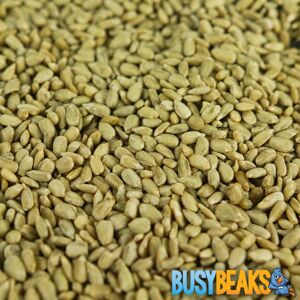 BusyBeaks Sunflower Hearts - Kernel Bird Seed - Wild Birds Food BusyBeaks Sunflower Hearts - Kernel Bird Seed - Wild Birds Food