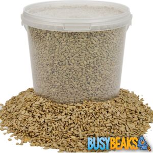 BusyBeaks Sunflower Hearts - Kernels Bird Seed Bakery Grade Food for Wild Birds BusyBeaks Sunflower Hearts - Kernels Bird Seed Bakery Grade Food for Wild Birds