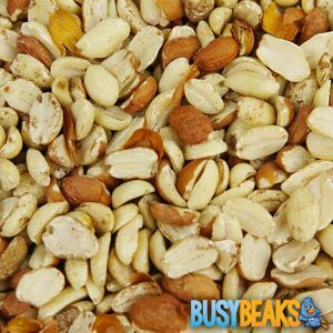 BusyBeaks Split Peanuts - Fresh Quality Wild Birds Protein Garden Birds Food Mix BusyBeaks Split Peanuts - Fresh Quality Wild Birds Protein Garden Birds Food Mix