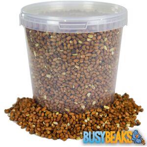 BusyBeaks Whole Peanuts - Premium High Energy Garden Wild Bird Nut Food In Tubs BusyBeaks Whole Peanuts - Premium High Energy Garden Wild Bird Nut Food In Tubs