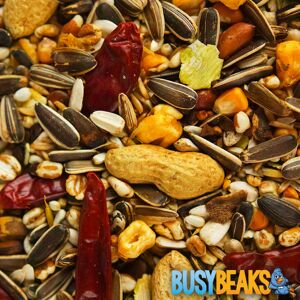 BusyBeaks African Grey Parrot Food - High Energy Bird Nuts Seeds Oats Feed Mix BusyBeaks African Grey Parrot Food - High Energy Bird Nuts Seeds Oats Feed Mix