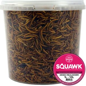 SQUAWK Dried Mealworms - Premium Quality Wild Bird Food Garden Snacks For Birds SQUAWK Dried Mealworms - Premium Quality Wild Bird Food Garden Snacks For Birds