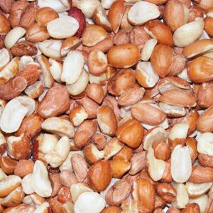 Gardeners Dream Split Peanuts - Premium Nut Protein For Wild Birds In Your Garden (3kg) Gardeners Dream Split Peanuts - Premium Nut Protein For Wild Birds In Your Garden (3kg)