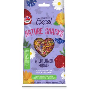 Burgess Excel Wildflower Forage Rabbit Hamster Rat Guinea Pig 60g Burgess Excel Wildflower Forage Rabbit Hamster Rat Guinea Pig 60g