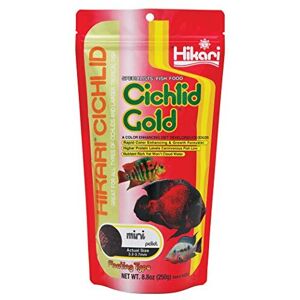 Hikari 8.8-Ounce Cichlid Gold Floating Pellets for Pets, Mini Hikari 8.8-Ounce Cichlid Gold Floating Pellets for Pets, Mini