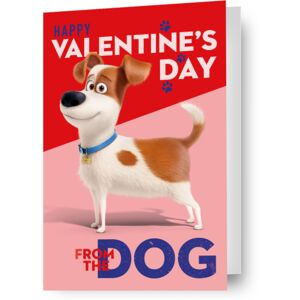 The Secret Life Of Pets Valentine's Day Card From The Dog The Secret Life Of Pets Valentine's Day Card From The Dog